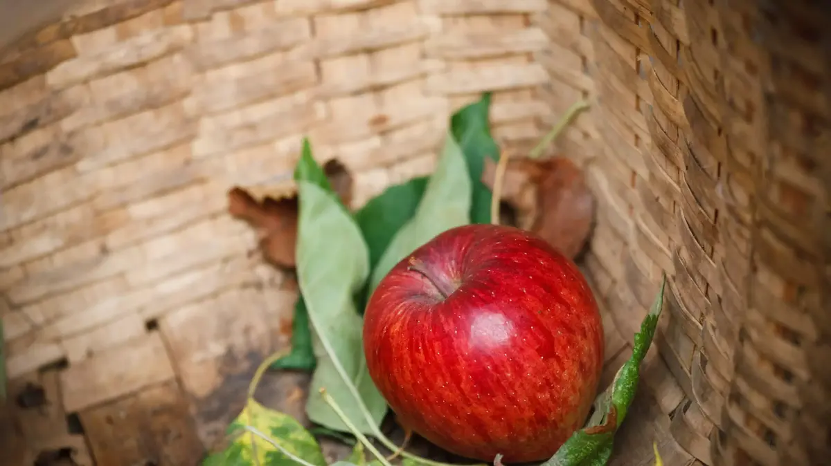 OCD של נטייה מינית — כשהמחשבות הטורדניות לא עוצרות